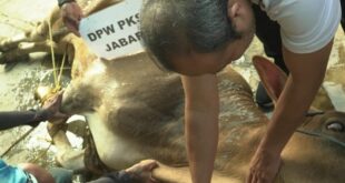 Prosesi Pembukaan Qurban DPW PKS Jawa Barat – DPW PKS Jawa Barat