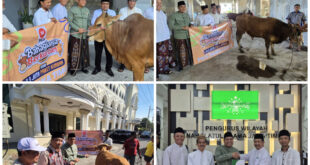 Serahkan Hewan Kurban ke PWNU, MUI, dan PWM, PKS Jatim: Bahagianya Berkurban, Eratkan Silaturahim Kuatkan Sinergi