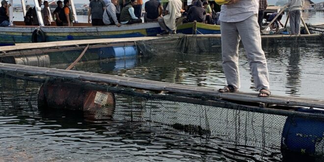 Antisipasi Pangan Mahal, PKS Jabar Bekali Kader Budidaya Ikan Langsung di Waduk Cirata – DPW PKS Jawa Barat